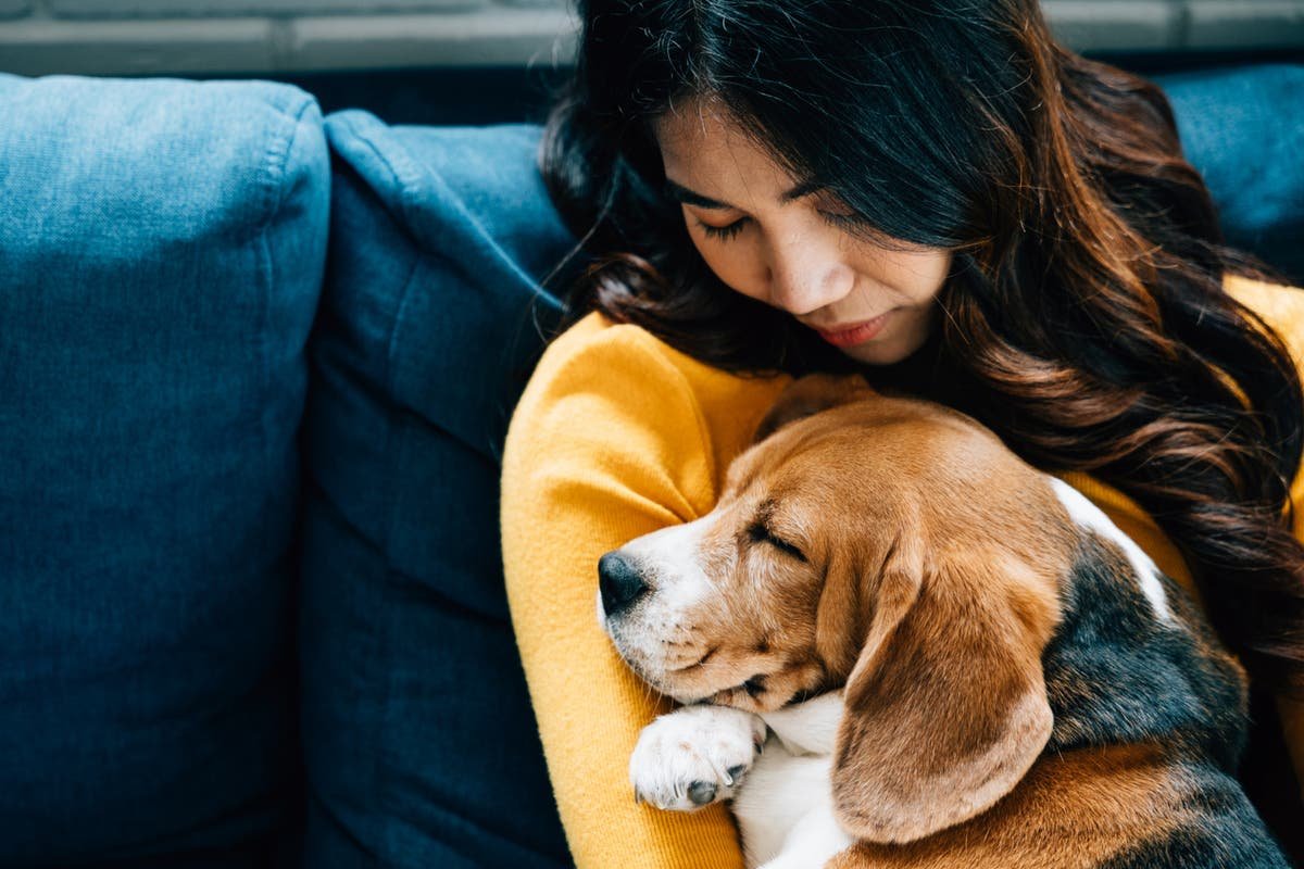 The people who treat their dogs like babies – and …