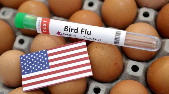 Bird flu brings up danger for some Americans’…
