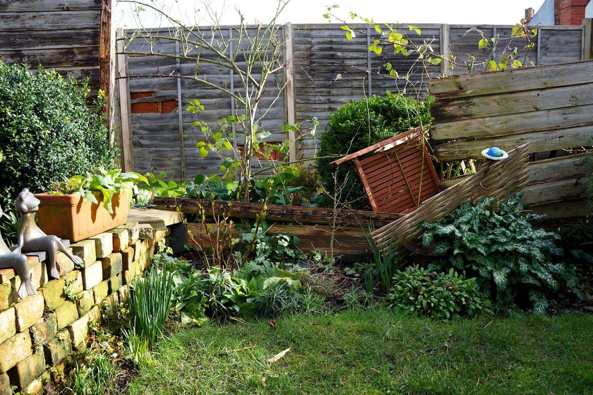 How to rescue your garden from storm damage How to rescue your garden from storm damage