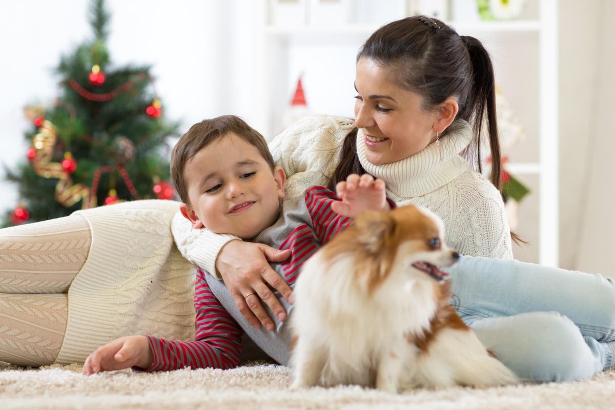 The most important things to know before getting a puppy this Christmas