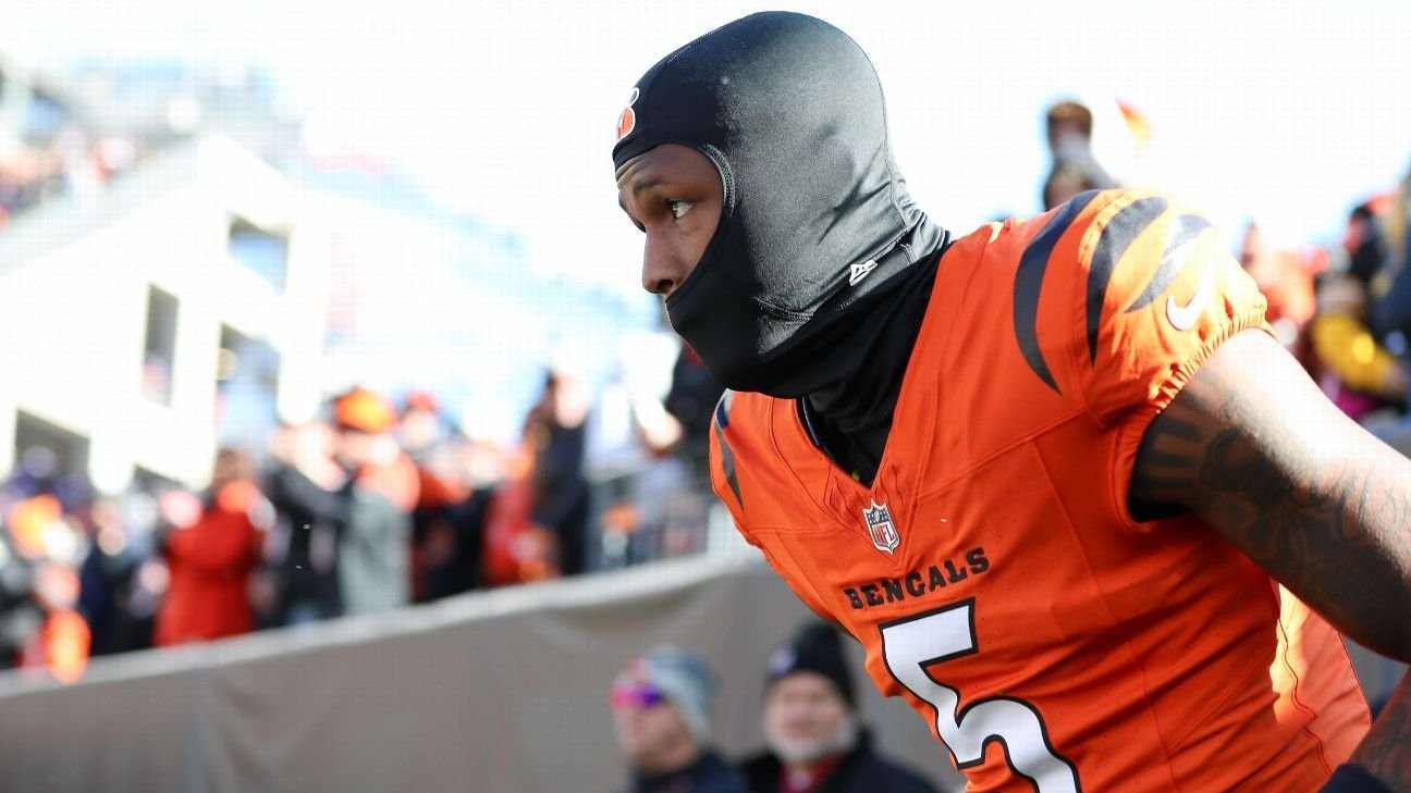 Will Tee Higgins be too expensive for Bengals to keep? Will Tee Higgins be too expensive for Bengals to keep?