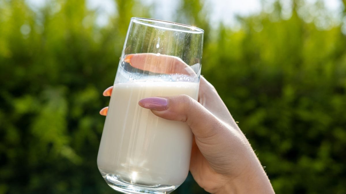 How to Stay Safe Now That More Raw Milk Has Been Recalled Due to Bird Flu How to Stay Safe Now That More Raw Milk Has Been Recalled Due to Bird Flu