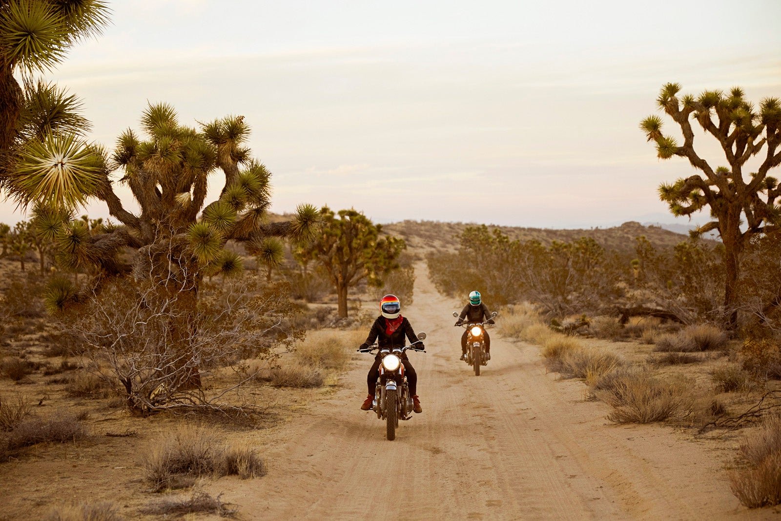 Everything you need to know about visiting Joshua Tree National Park Everything you need to know about visiting Joshua Tree National Park