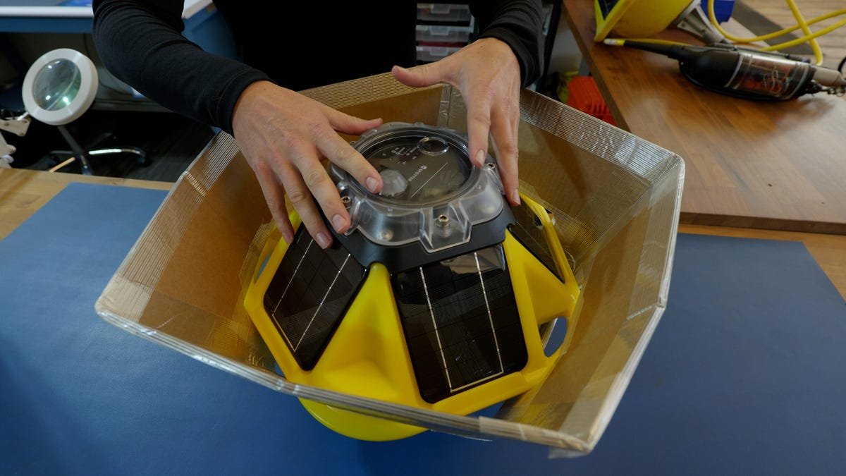 Meet the Buoys Made for Hurricanes