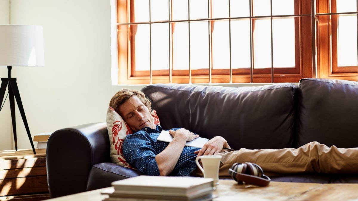 Your Afternoon Snooze Has Rules: Tips for Taking the Perfect Nap