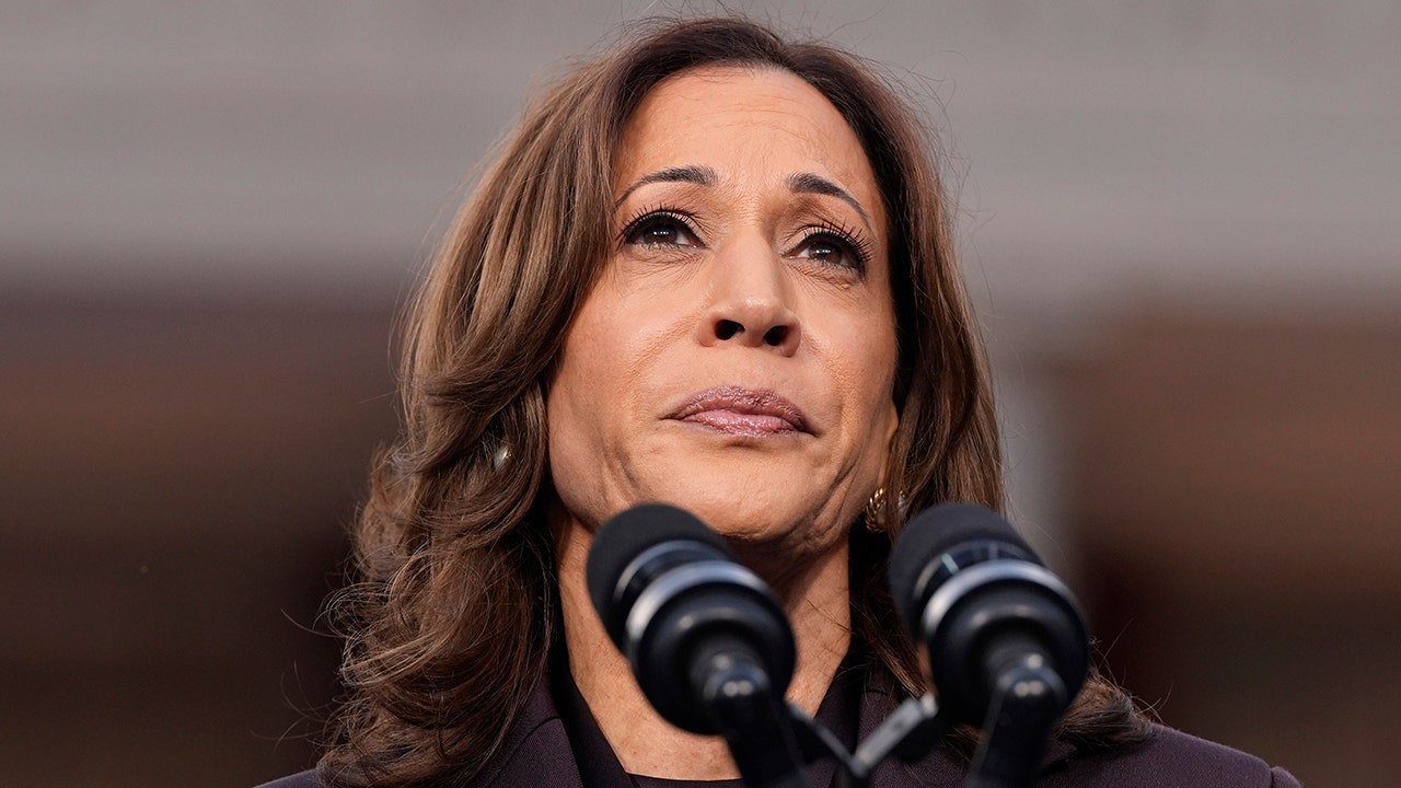 Harris tells DNC staffers after devastating layoffs, ‘our spirit will not be defeated’ Harris tells DNC staffers after devastating layoffs, ‘our spirit will not be defeated’