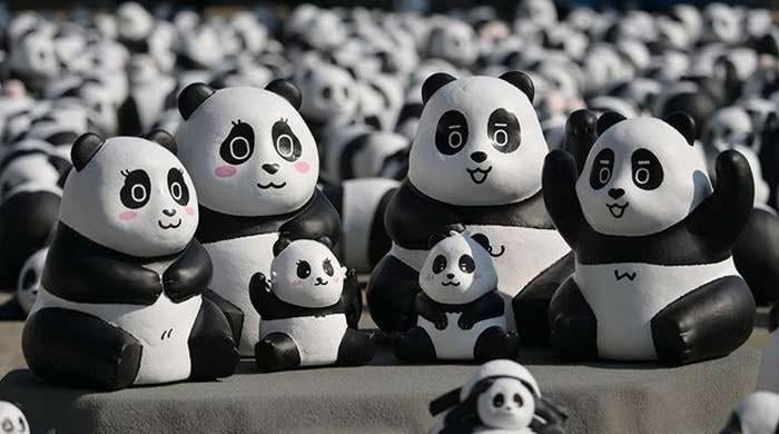 Bear craze sparks panda-monium in Hong Kong with massive sculpture display