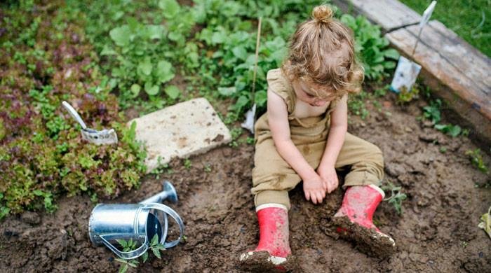 Does playing in dirt strengthen kids’ immune…