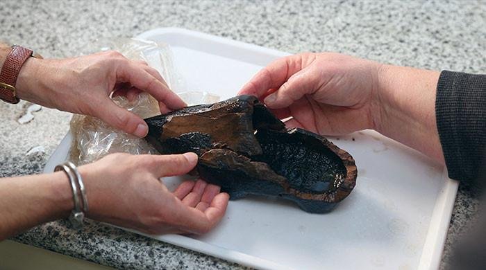 Dutch discover rare 500-year-old wooden shoe