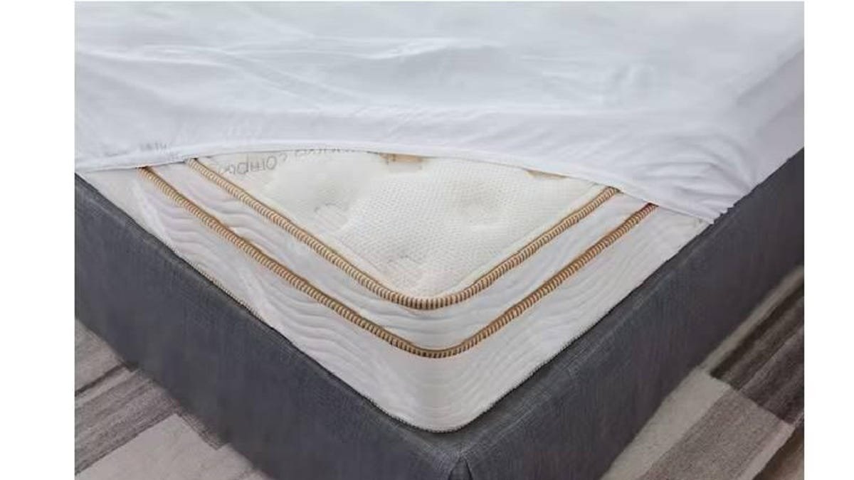 The 4 Best Waterproof Mattress Protectors of 2024,…