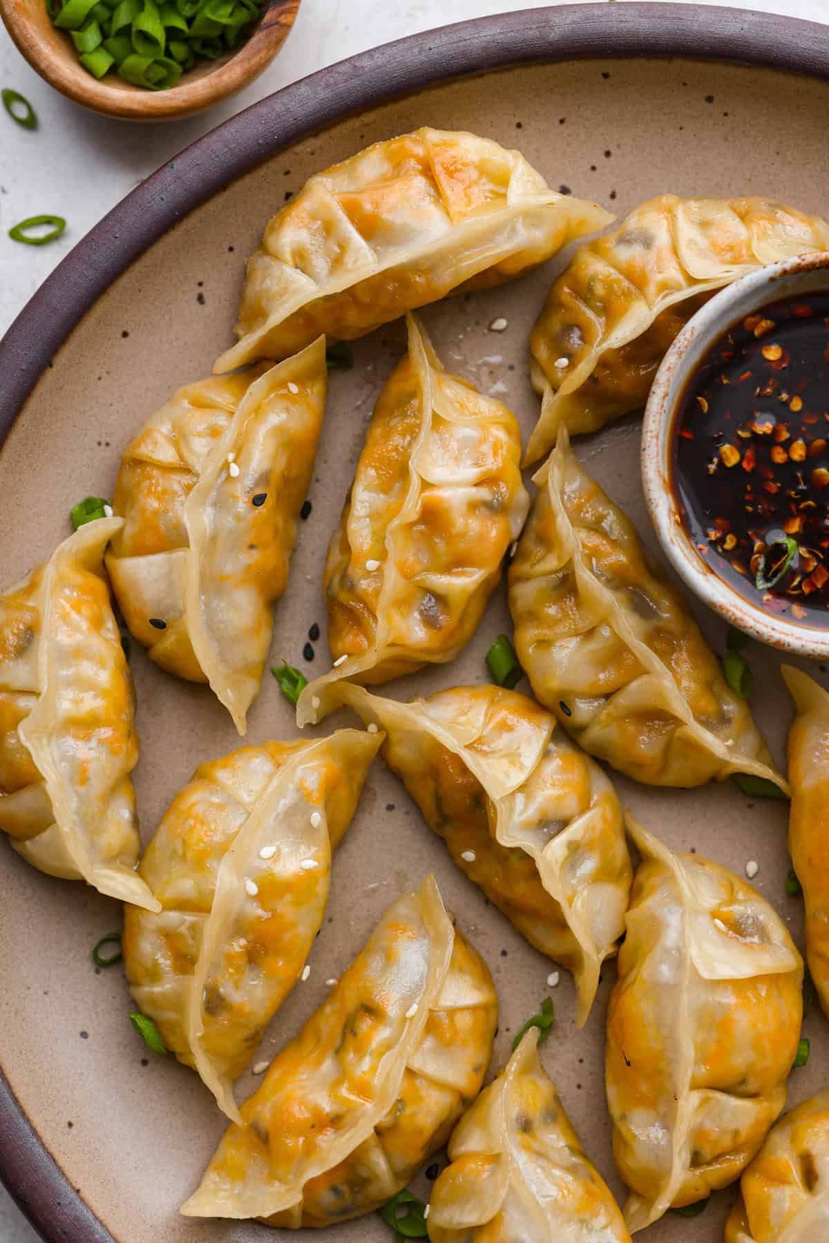 Vegetable Dumplings | The Recipe Critic