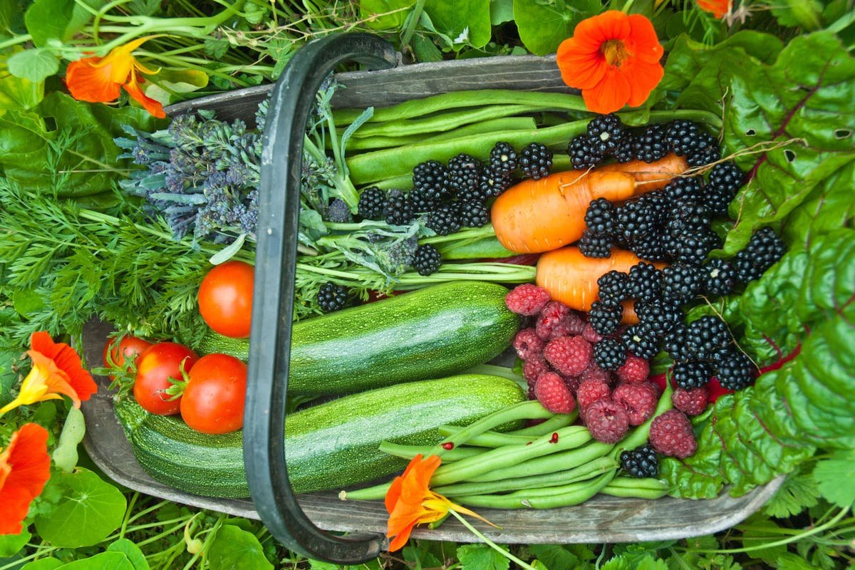 The spots to place edible plants for successful growing