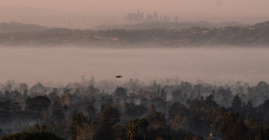 Trump Blames L.A. Wildfires on Newsom Using Familiar Tactics