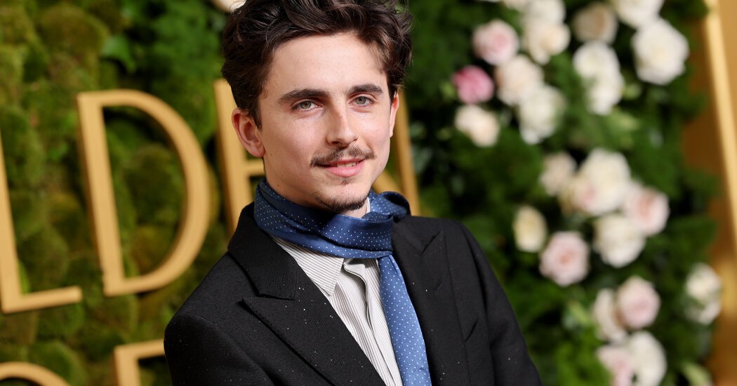 Timothée Chalamet Will Be Both Host and Musical Guest on ‘S.N.L.’