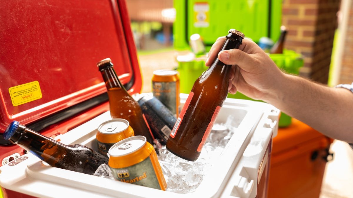 Best Coolers of 2025 – CNET