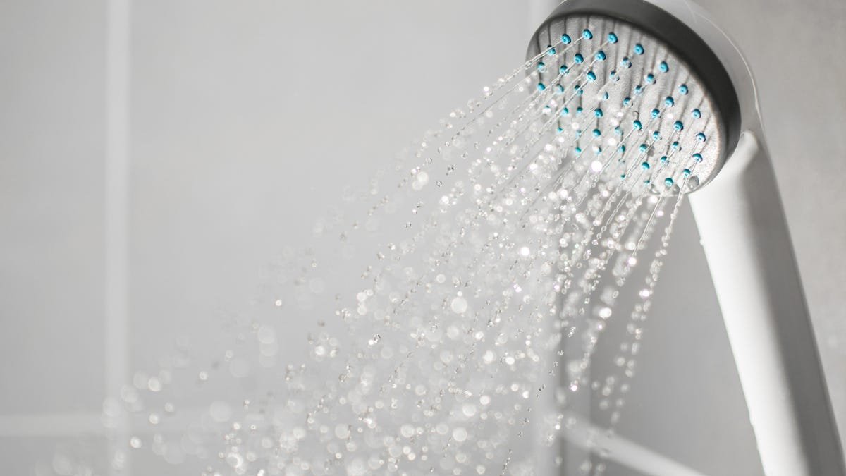 Best Shower Head Filters of 2025