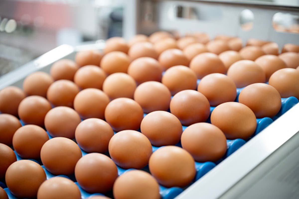 Six egg brands recalled over salmonella contamination