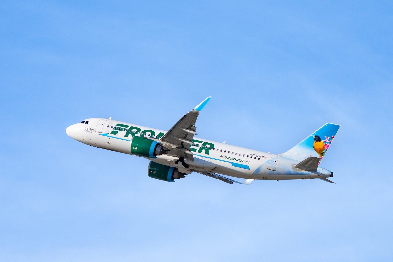 Frontier Airlines unveils limited-time BOGO companion pass deal