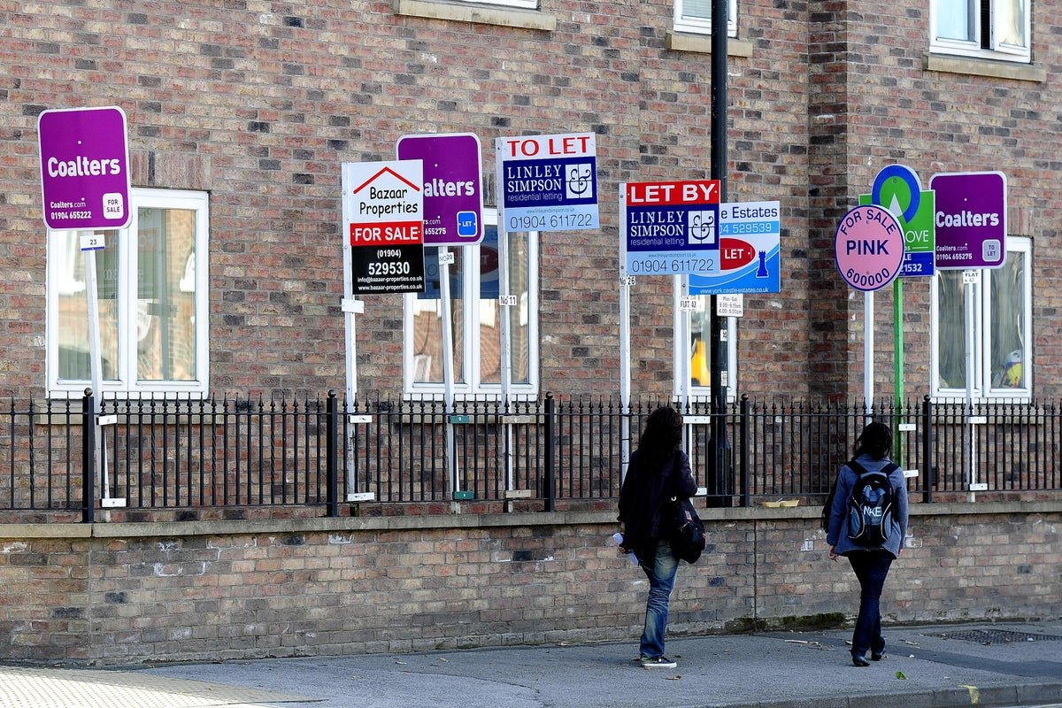 UK housing market momentum slowed in February – surveyors