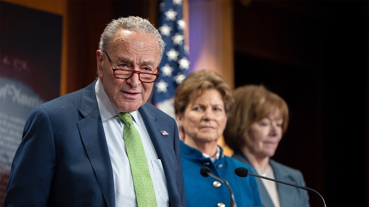 Schumer under fire from Democrats for supporting Republican spending bill