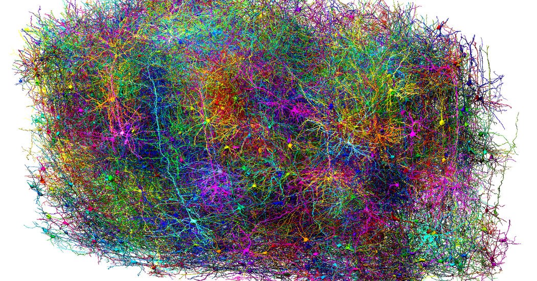Scientists Map Miles of Wiring in a Speck of Mouse Brain Scientists Map Miles of Wiring in a Speck of Mouse Brain