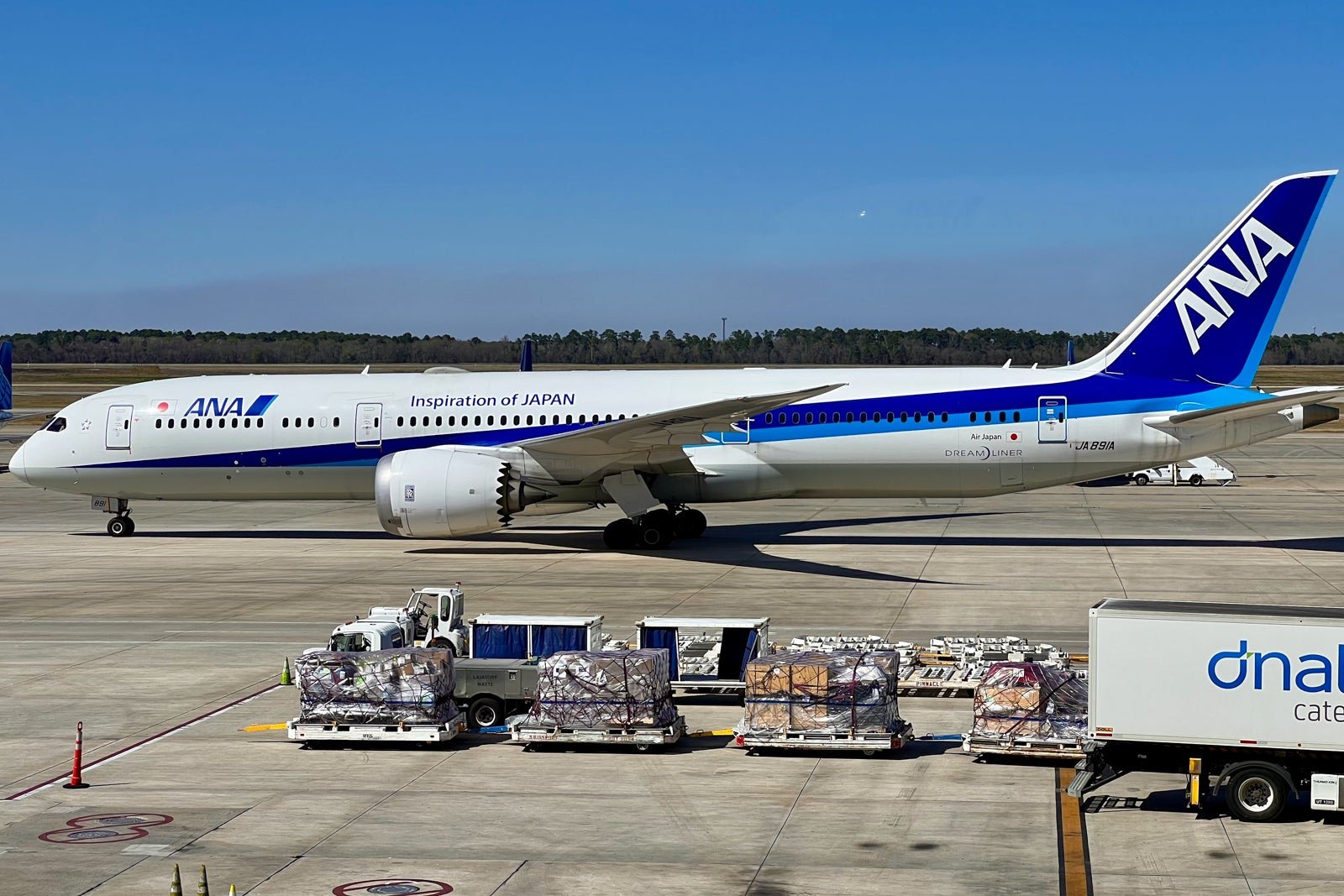 ANA reveals new premium economy seats, teases business-class reveal ANA reveals new premium economy seats, teases business-class reveal