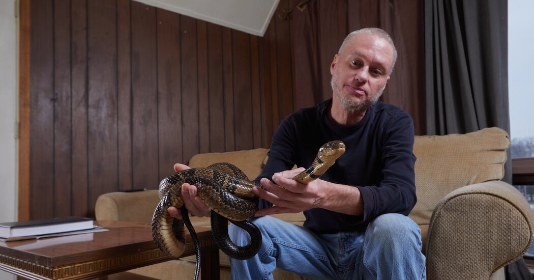 Universal Antivenom May Grow Out of Man Who Let Snakes Bite Him Hundreds of Times Universal Antivenom May Grow Out of Man Who Let Snakes Bite Him Hundreds of Times