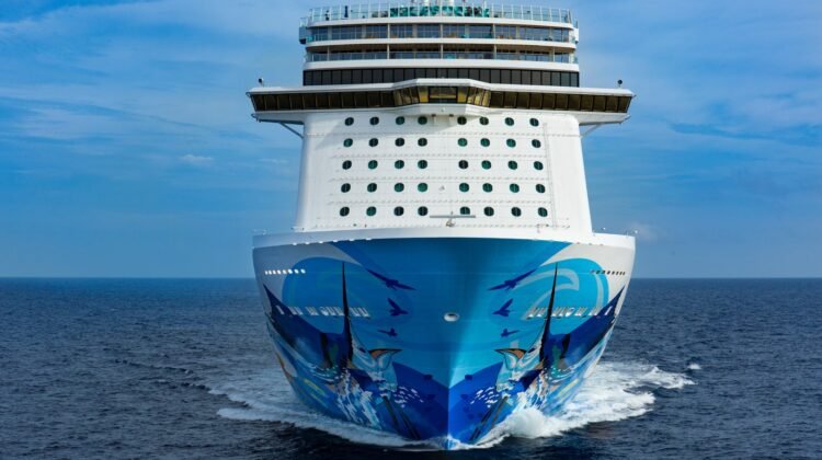 Norwegian Cruise Line ships from newest to oldest — the complete list Norwegian Cruise Line ships from newest to oldest — the complete list
