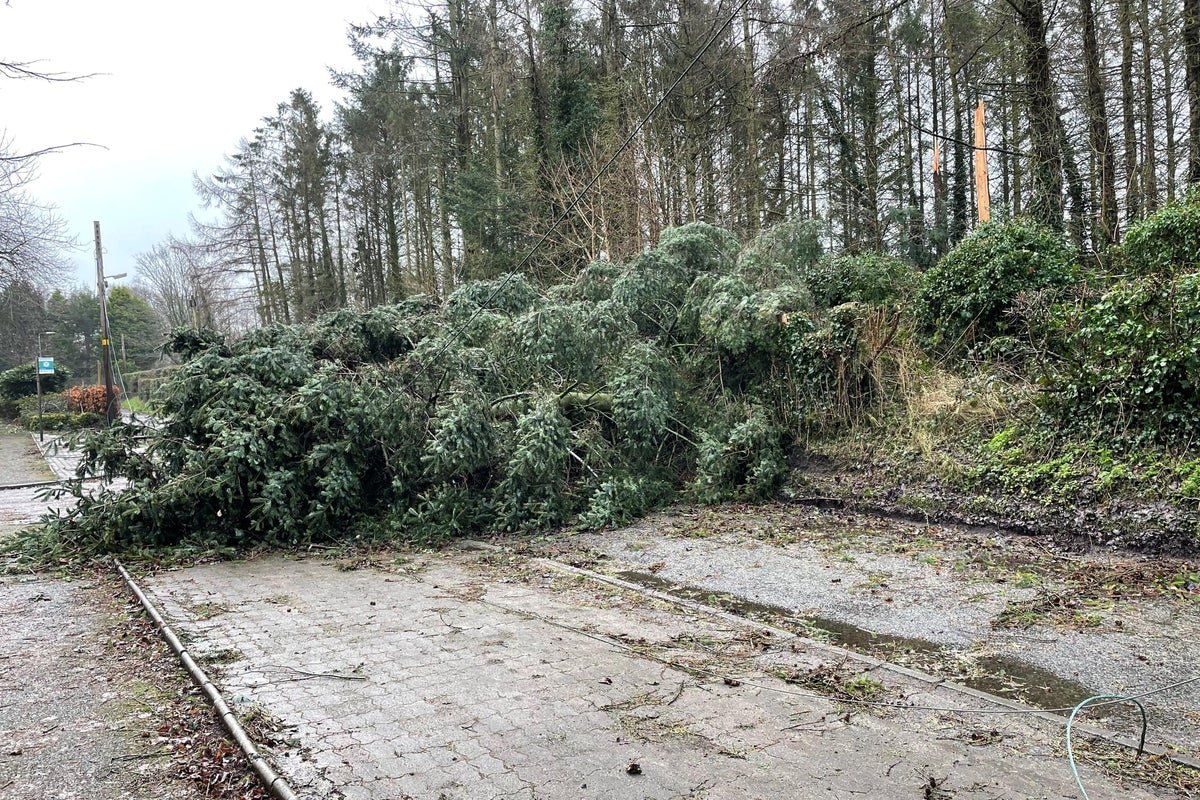 Claims for weather-related damage to homes and possessions hit record £226m Claims for weather-related damage to homes and possessions hit record £226m