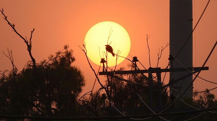 April among driest, hottest months in Pakistan in over 65 years: PMD April among driest, hottest months in Pakistan in over 65 years: PMD