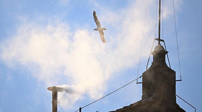 White smoke billows from Sistine Chapel as new pope elected