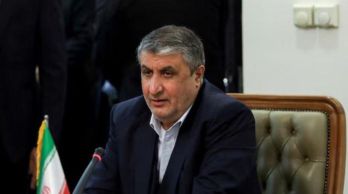 Iran says may allow US inspectors from nuclear watchdog if deal reached Iran says may allow US inspectors from nuclear watchdog if deal reached