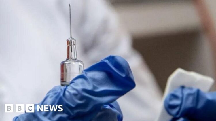 Briton dies from rabies after ‘scratch’ from stray puppy in Morocco
