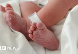 National investigation into maternity care announced