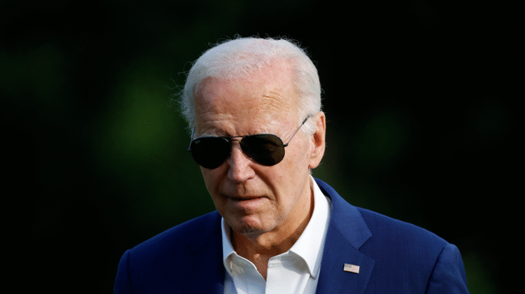Democrats ‘leaderless and message-less,’ says former Clinton strategist Democrats ‘leaderless and message-less,’ says former Clinton strategist