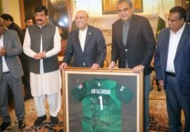 President Zardari urges cricketers to leave politics to politicians