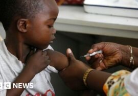 First malaria vaccine for babies approved for use