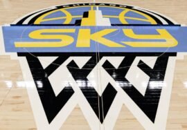 Chicago Sky partners with firm to combat online harassment