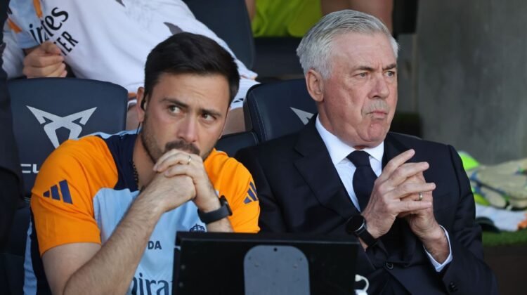Carlo Ancelotti’s son, Davide, set to become Botafogo boss – sources Carlo Ancelotti’s son, Davide, set to become Botafogo boss – sources