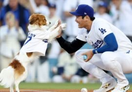 Dodgers’ Shohei Ohtani announces children’s book about dog, Decoy
