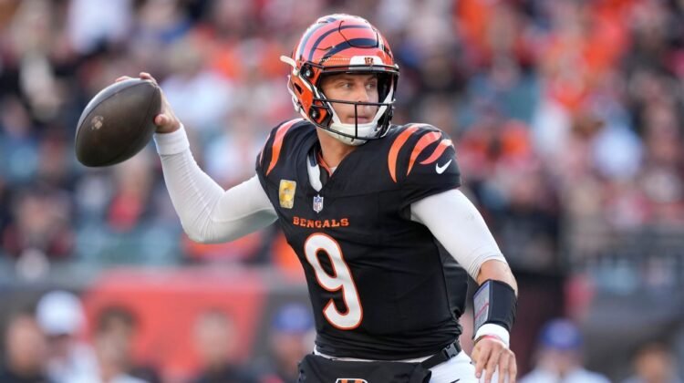 Pawn shop owner admits to selling Joe Burrow’s stolen property