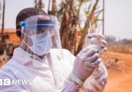Vaccine roll outs cut deaths and infections by 60% says study