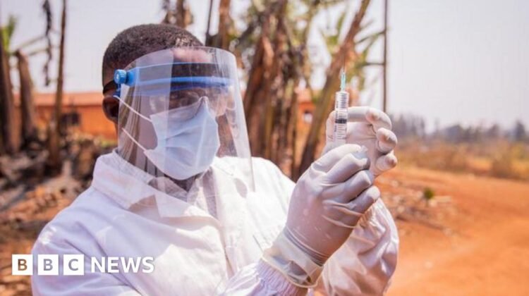 Vaccine roll outs cut deaths and infections by 60% says study