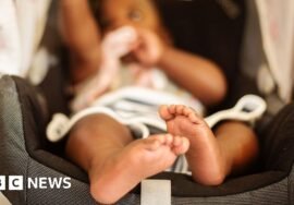 Woman smuggled baby into UK using fake birth story
