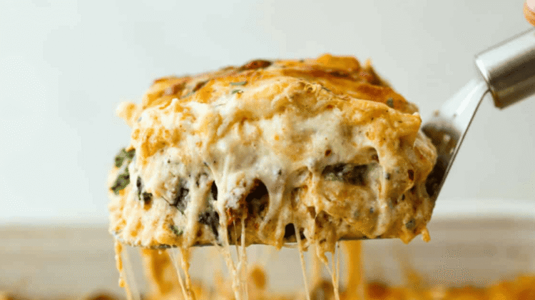 Creamy Marry Me Lasagna Recipe| The Recipe Critic Creamy Marry Me Lasagna Recipe| The Recipe Critic
