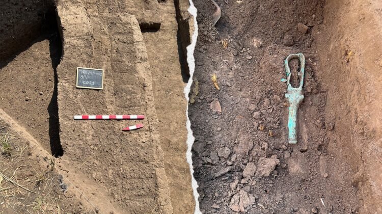 Newly discovered ancient tower houses in Nile Delta reveal thriving Ptolemaic city Newly discovered ancient tower houses in Nile Delta reveal thriving Ptolemaic city