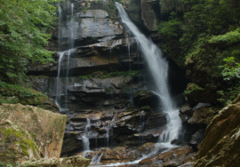 Woman dies after falling at least 75 feet while hiking in North Carolina