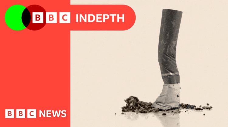 The illegal cigarettes trade in the UK signals a deeper problem The illegal cigarettes trade in the UK signals a deeper problem
