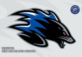 QMJHL’s Saint John Sea Dogs Roll Out New Logo, Wordmark, Uniforms – SportsLogos.Net News