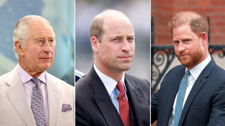 Royal rift continues after Prince William was excluded from peace talks: experts